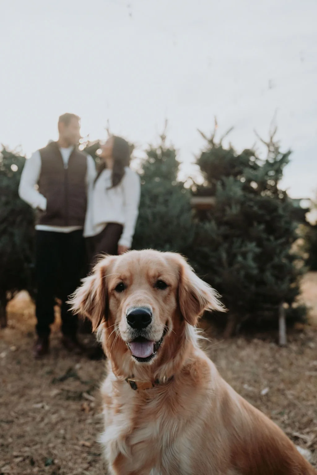ThePreteFamily-02.jpg