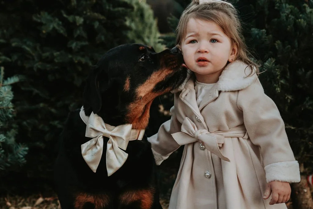 TheZinkFamily-04.jpg