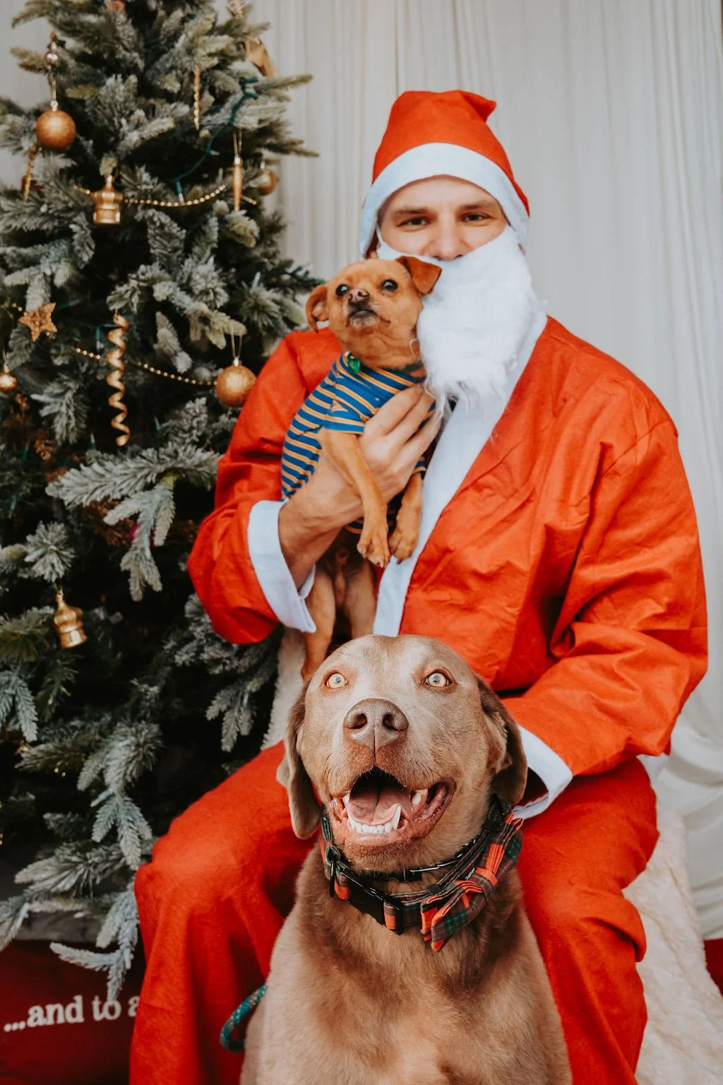 SidePonySantaPaws-11.jpg