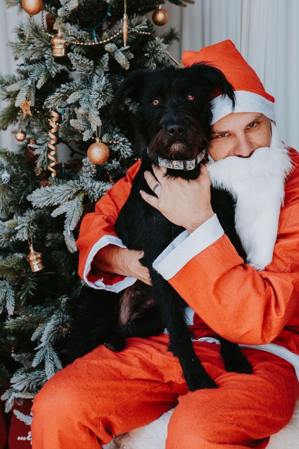 SidePonySantaPaws-23.jpg