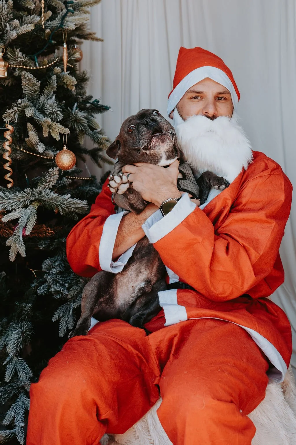 SidePonySantaPaws-39.jpg