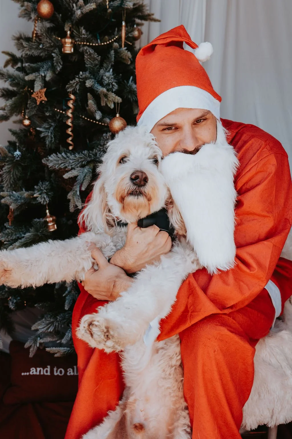 SidePonySantaPaws-42.jpg