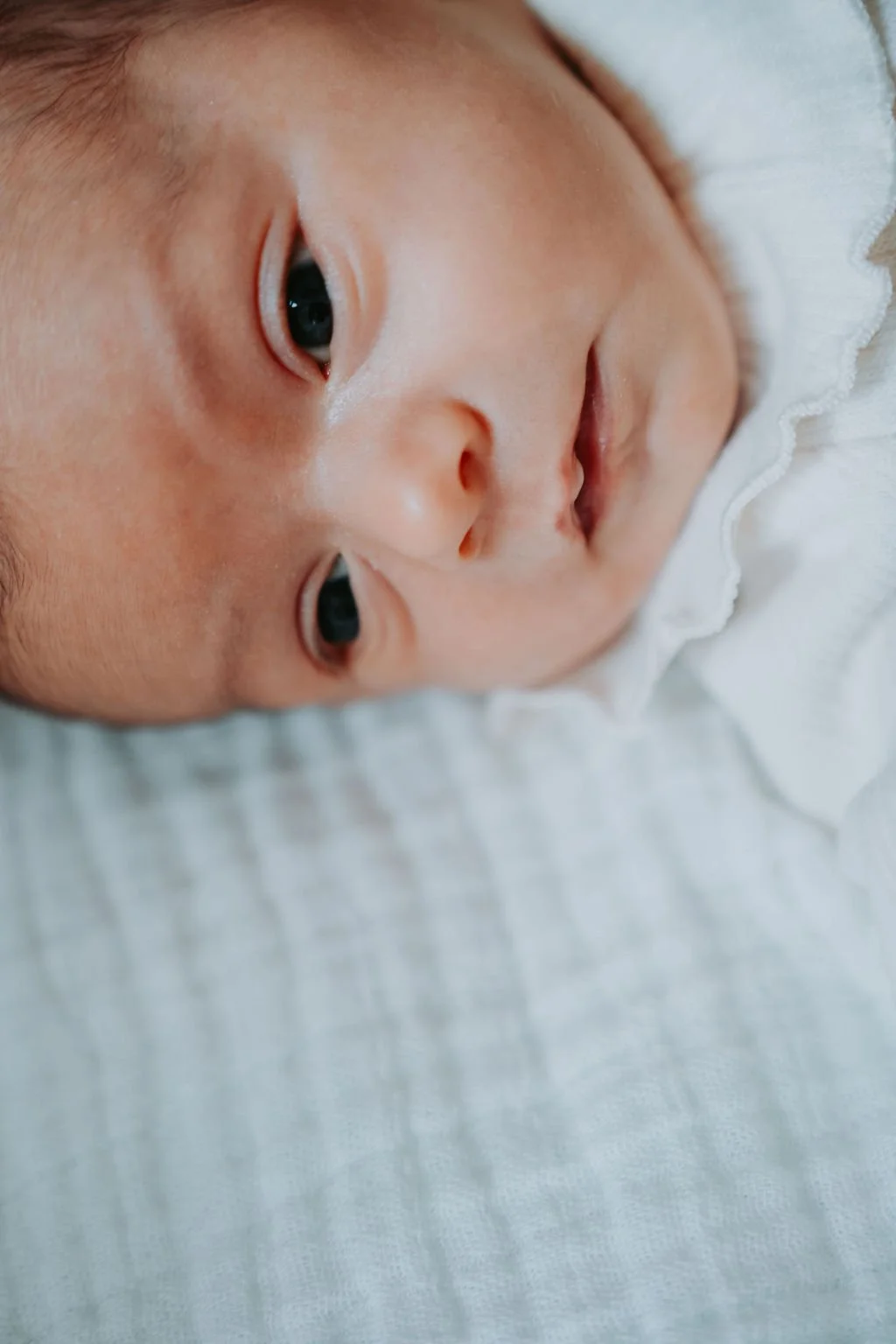 TheBellFamily-31.jpg