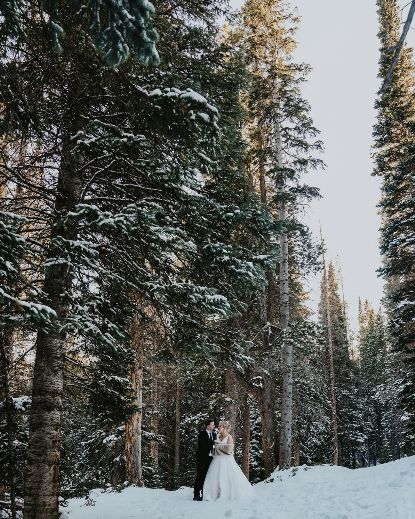 Final elopement of 2025 sent and only a week until Australia! This elopement was the coldest of the season, but these two were such good sports and embraced the adventure! Thank you for having me document this special day for you K+B 🤍
.
.
.
#elopem