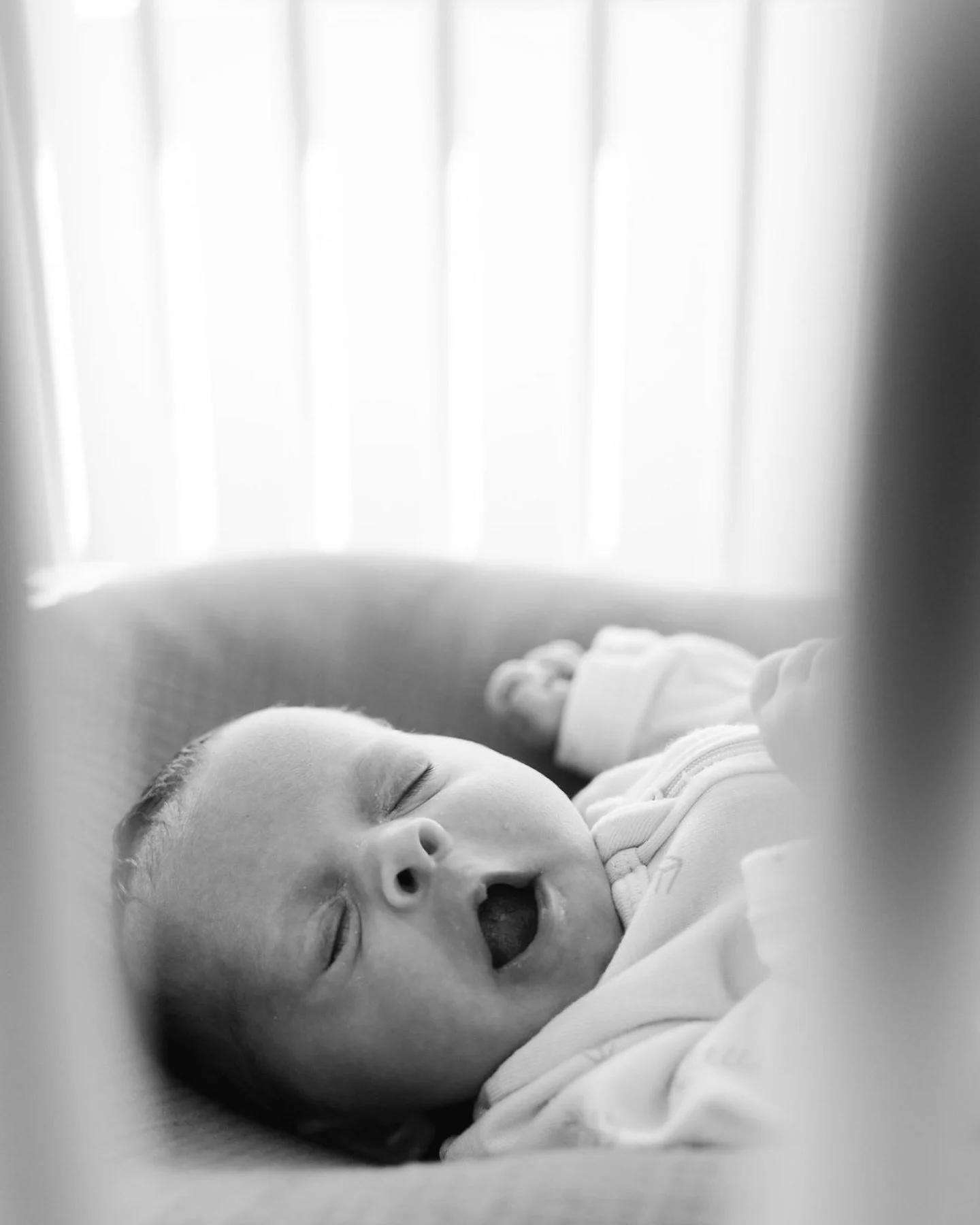 The most beautiful newborn session with @carly.c.row and Tyson! Welcome to the world baby Liv 🤍🤍🤍
.
.
.
#newbornphotography #newbornphotoshoot #coloradonewbornphotographer #denvernewbornphotographer #newbornphotographer