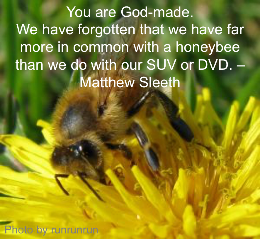 Bumblebee.png