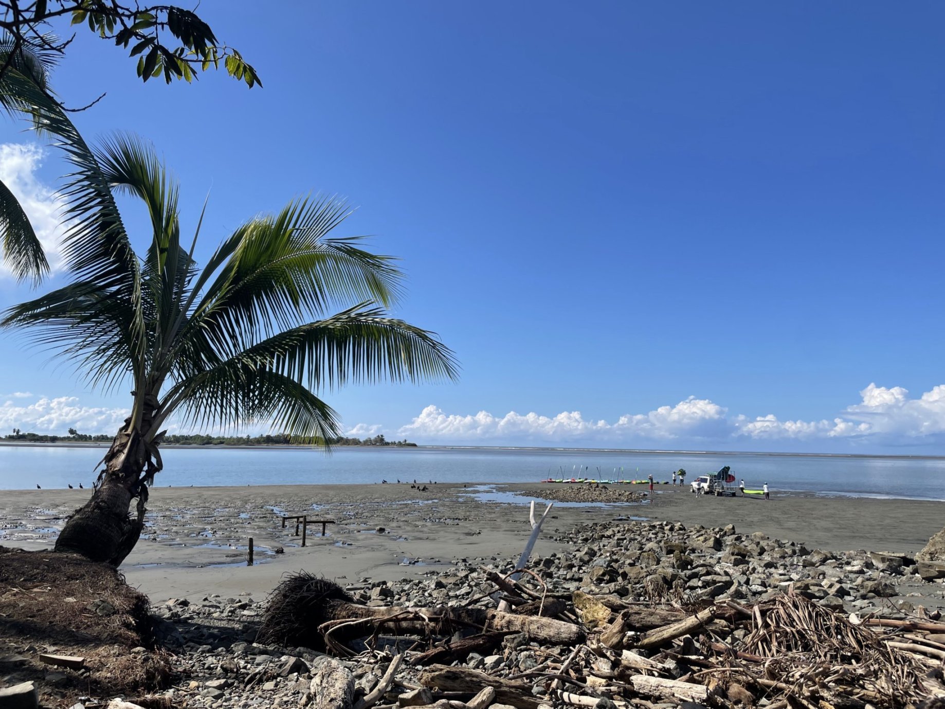 Mangrove Tour.jpeg