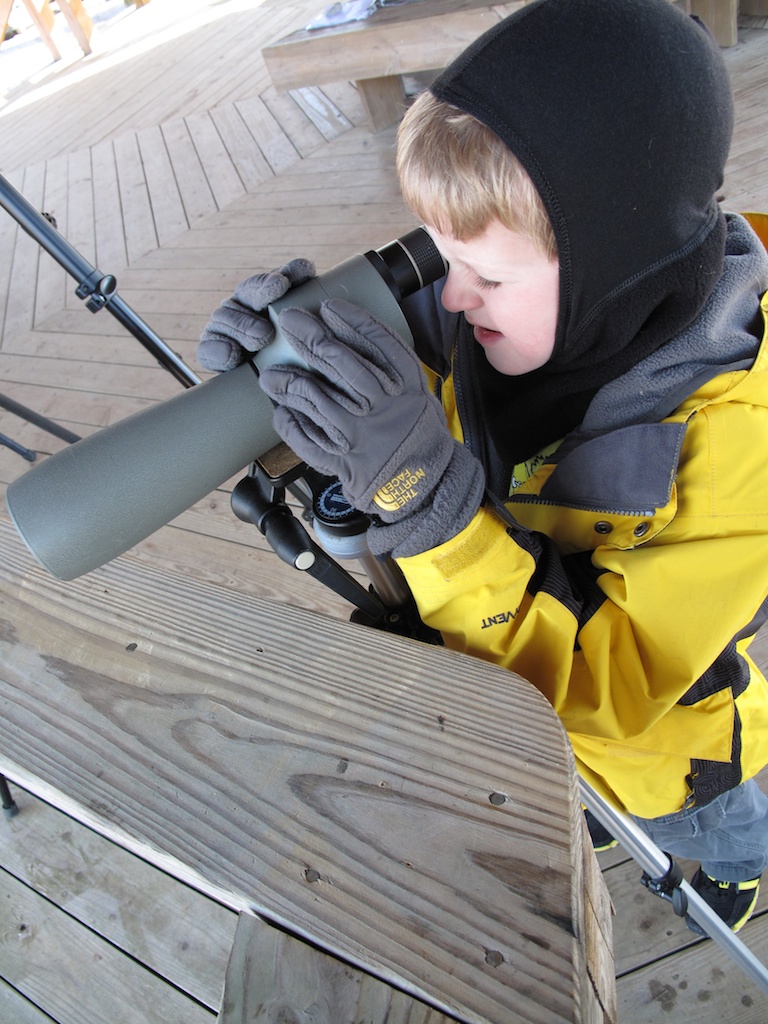 2011-12-29_Hiwassee_refuge_097.jpg