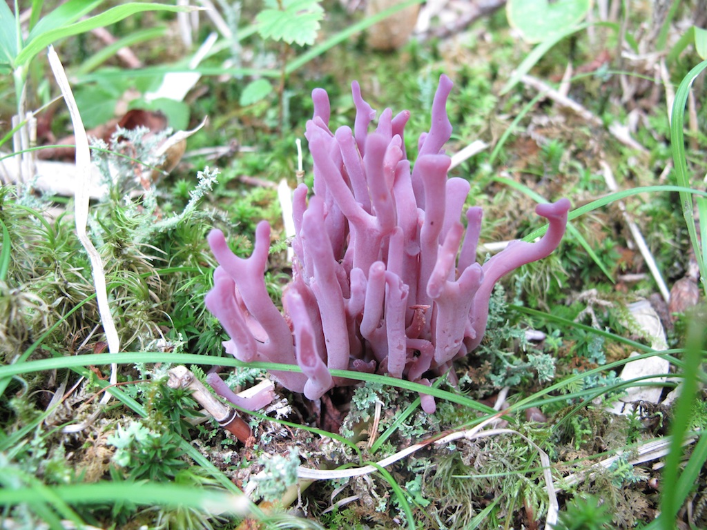 2010-08-03-800.jpg