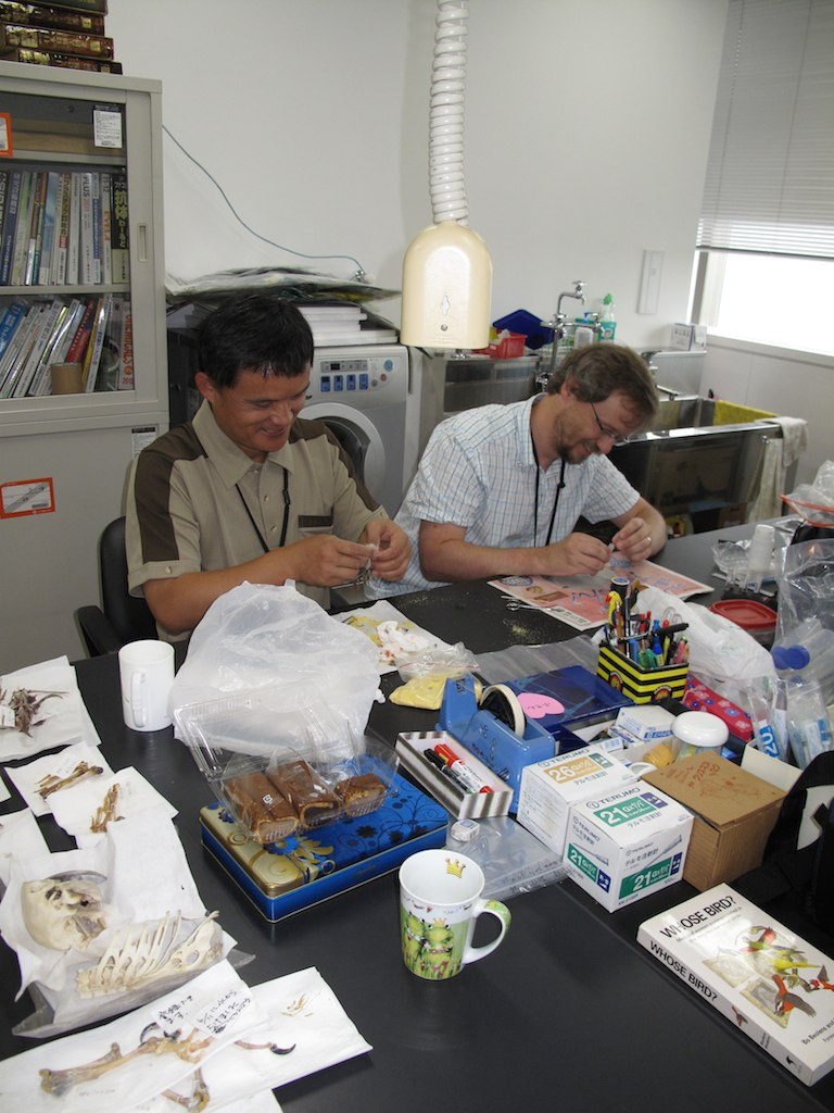 Preparing samples at the National Museum in Tokyo with Yao Cheng-te