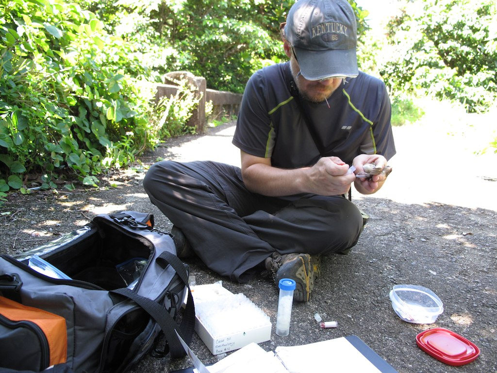 Collecting blood samples on Lanyu Island, Taiwan May 2012