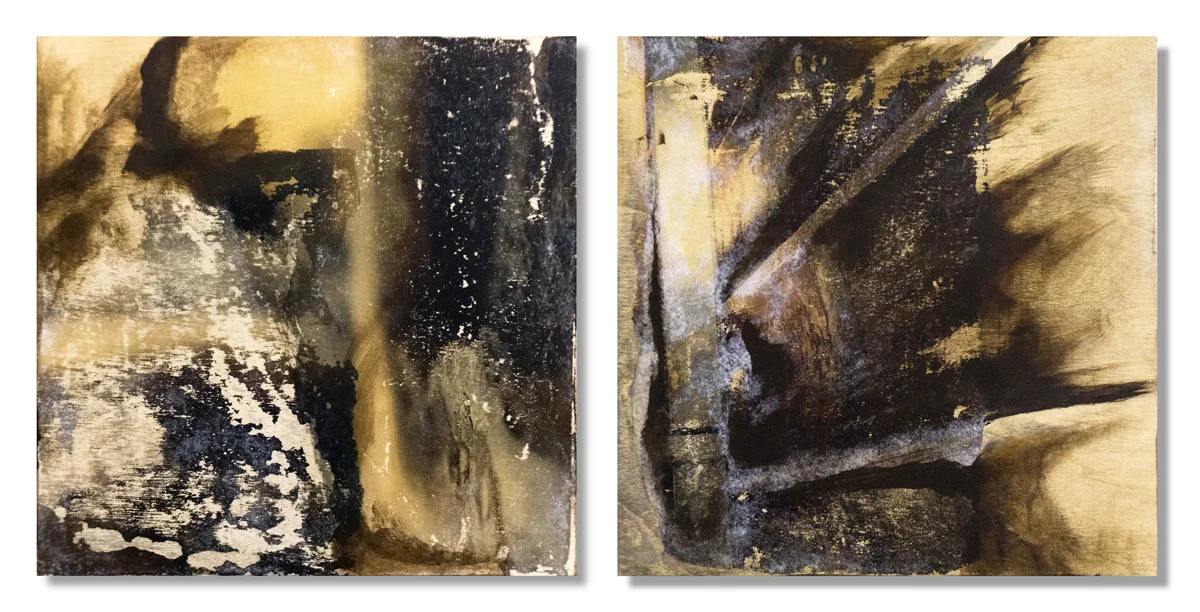 Underground, diptych, 20 x 10 in, mixed media (Copy)