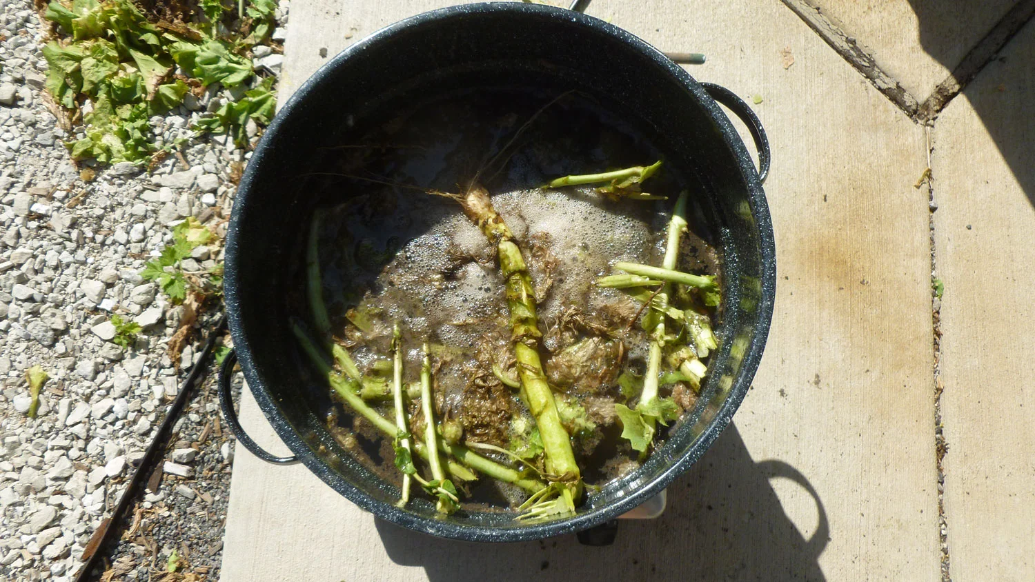 SIS_Garden_44.jpg