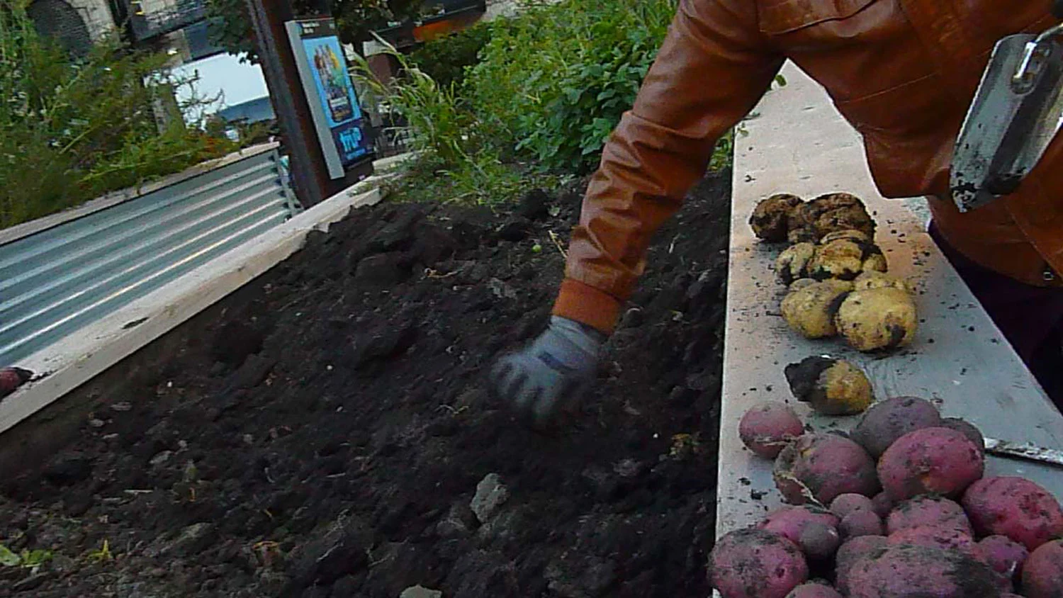 SIS_Garden_72.jpg