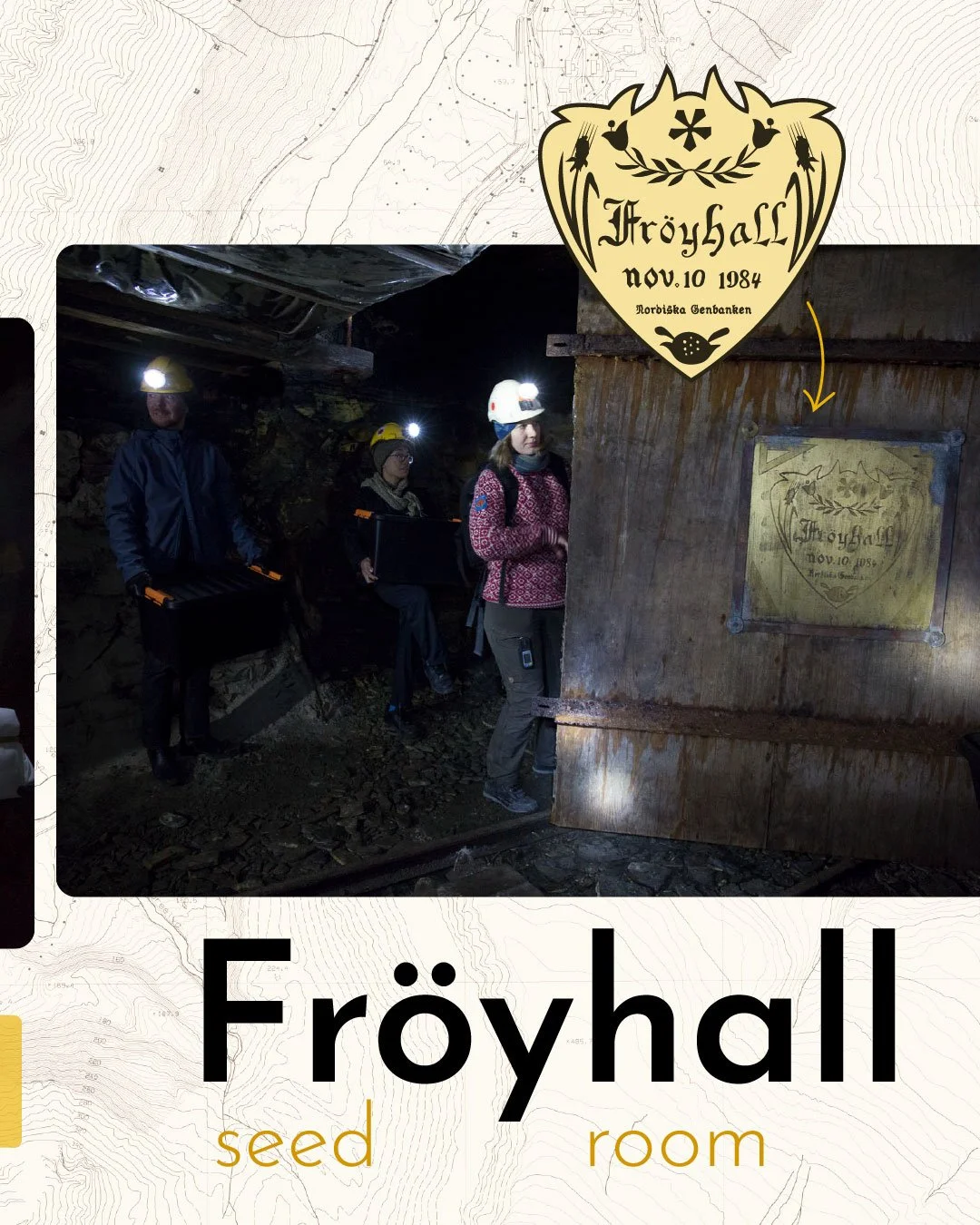 Froyhall_Explainer_SocialMedia-07.jpg