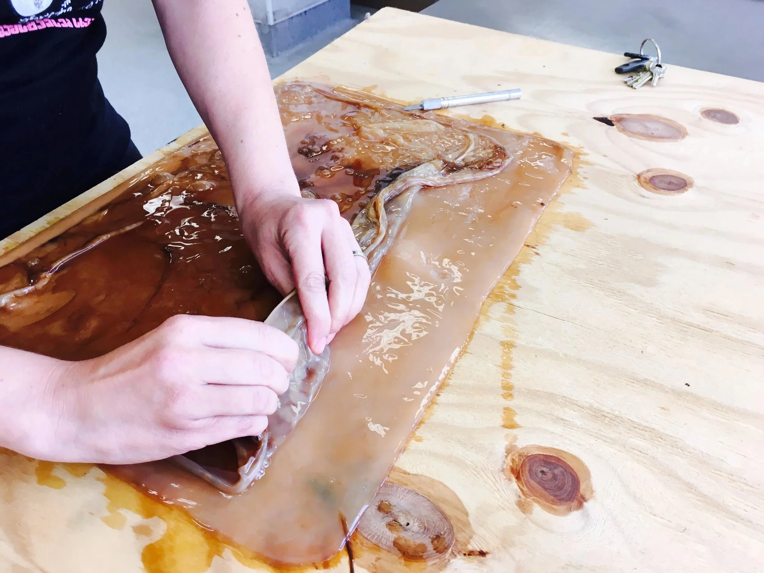 IIT SCOBY Experiments