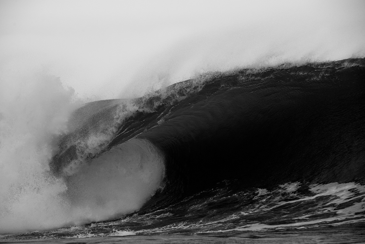 DSC_8732 web.jpg