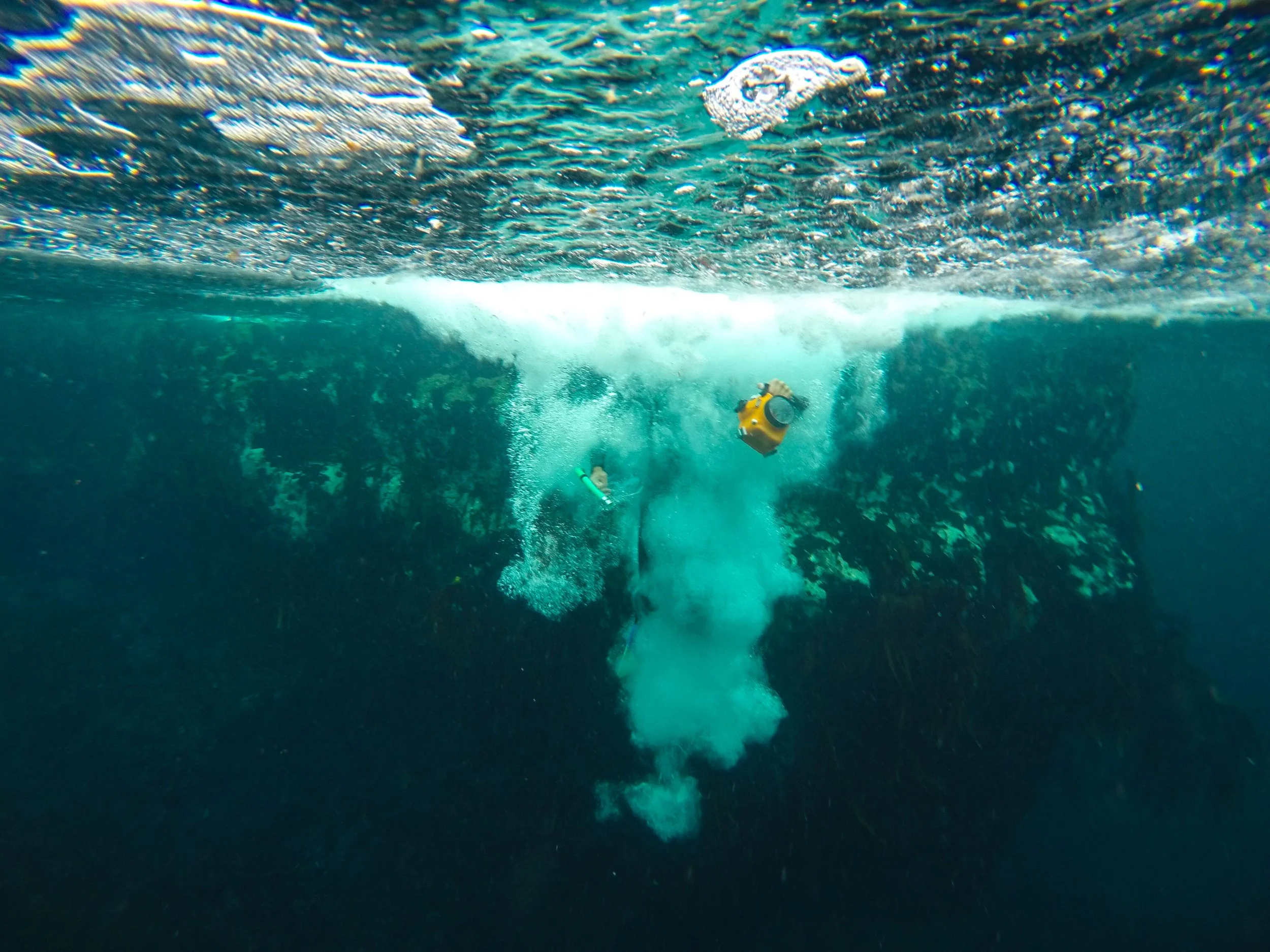 Going Deep by Dara Dever.jpg