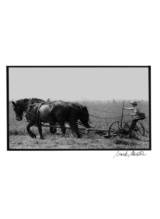 Amish Plow