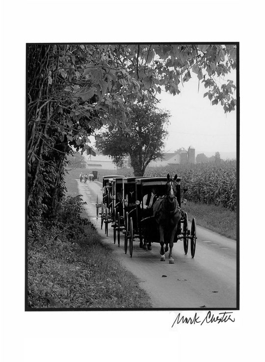 Horse and Buggy Caravan