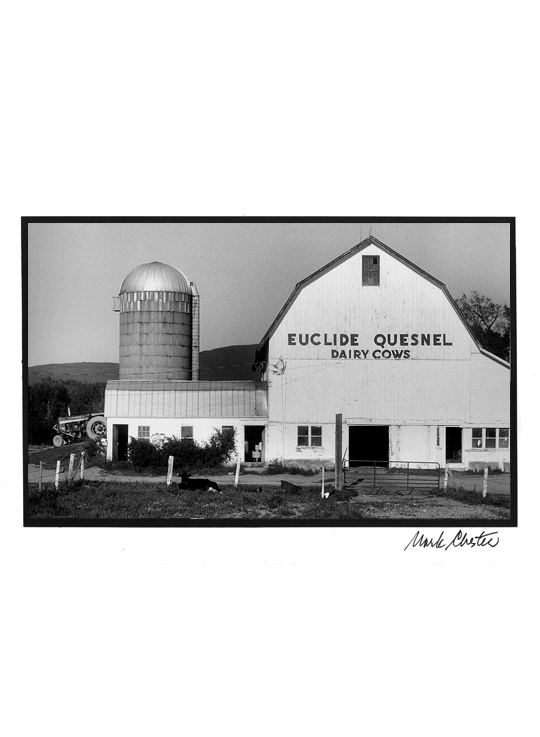 Euclide Quesnel Dairy Cows of Vermont