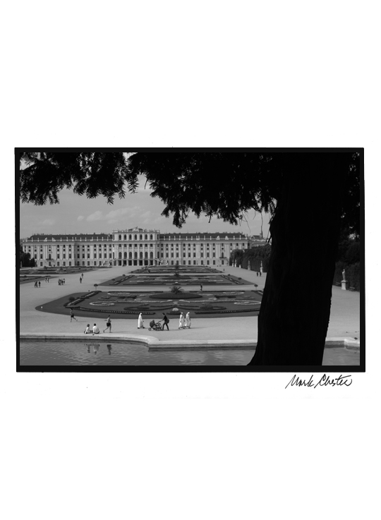 Viennese Palace