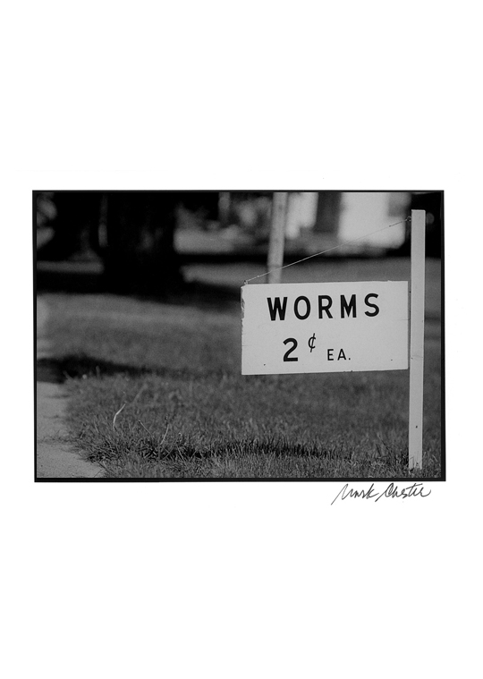 Worms 2 ¢