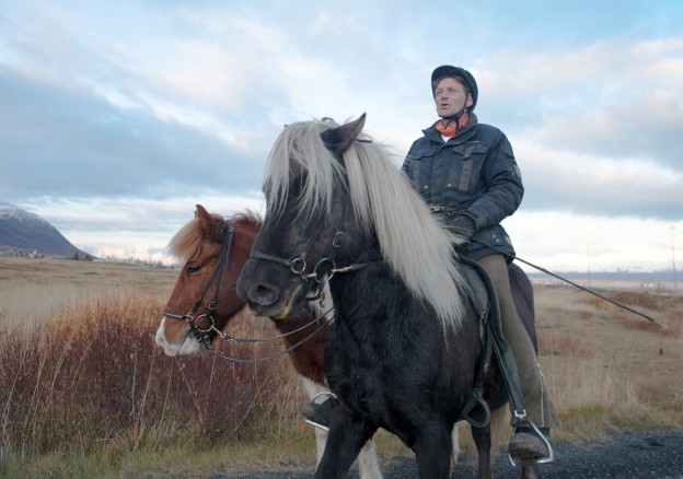Icelandic Horses with Rider, on a trail near Route 1