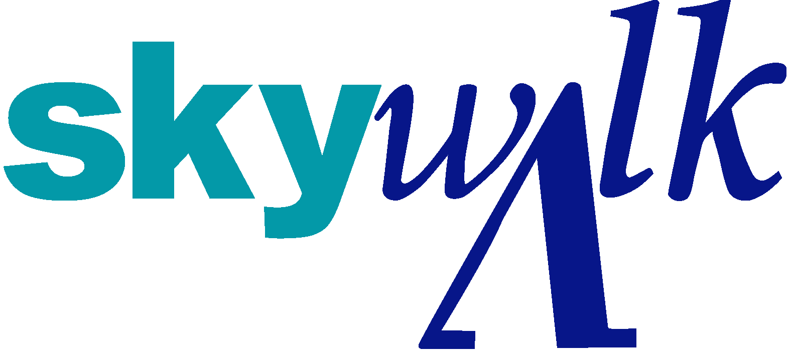 Skywalk Observatory