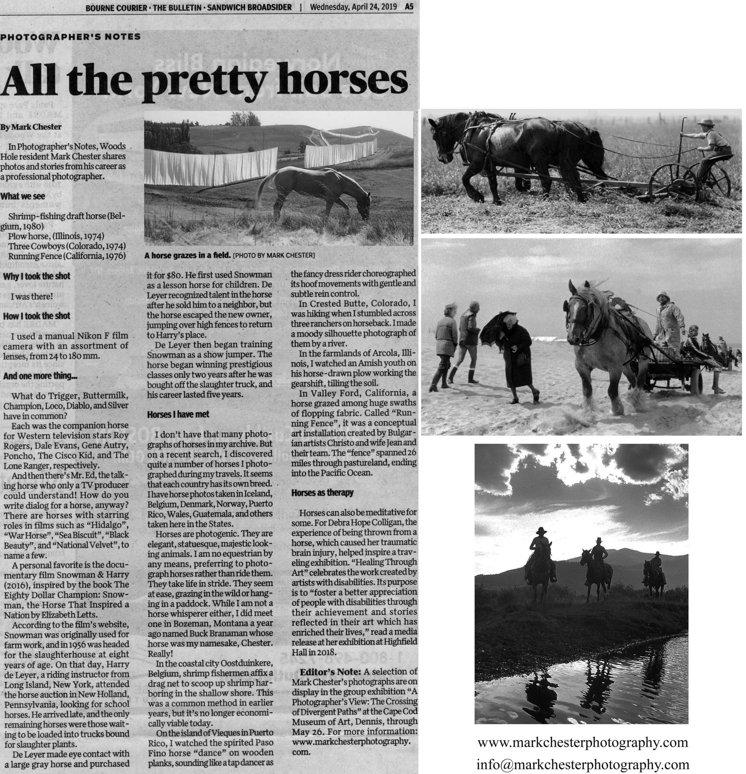 Horses FAL BUL 1 copy.jpeg