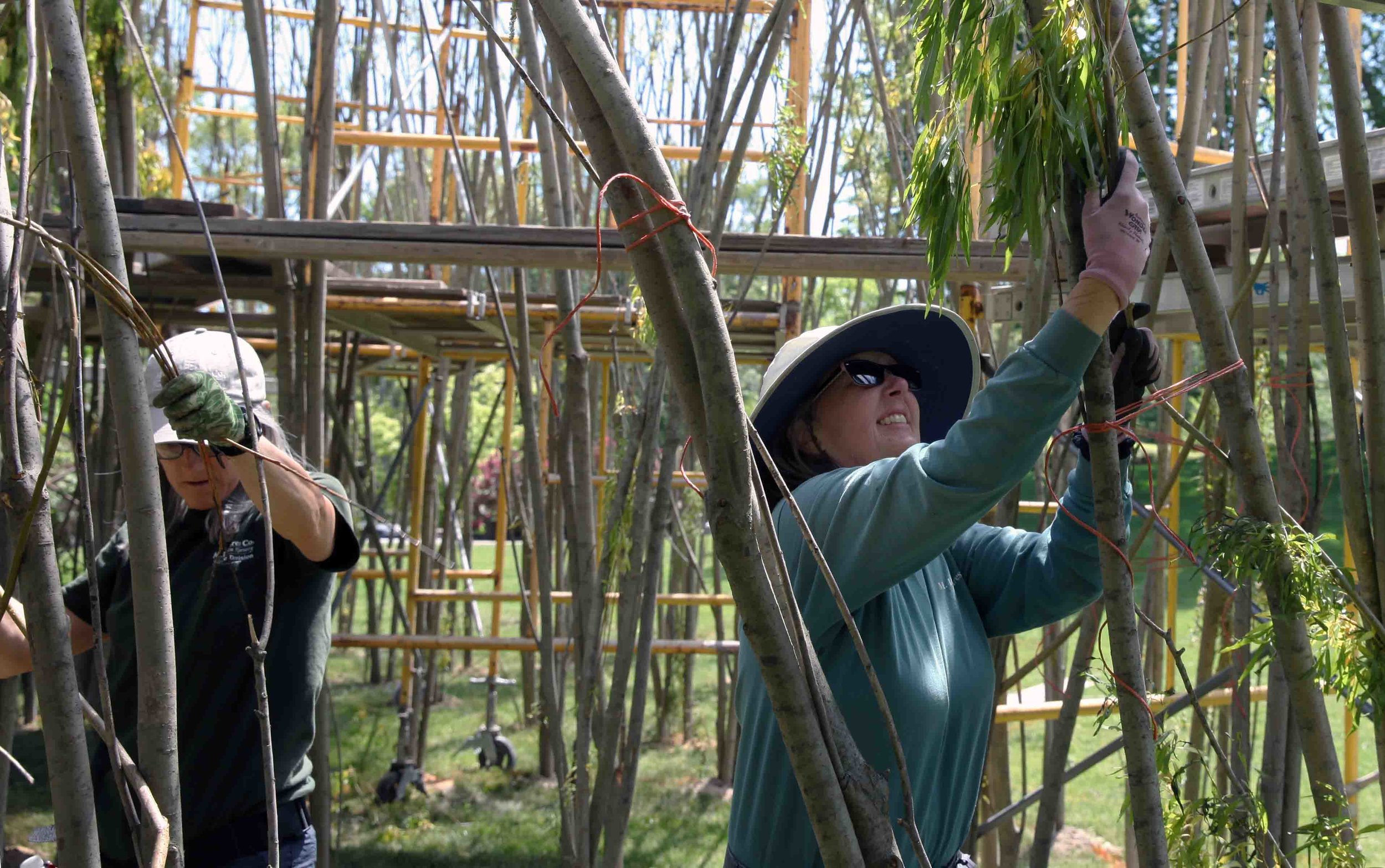 volunteers weaving willows_3560 copy.jpg