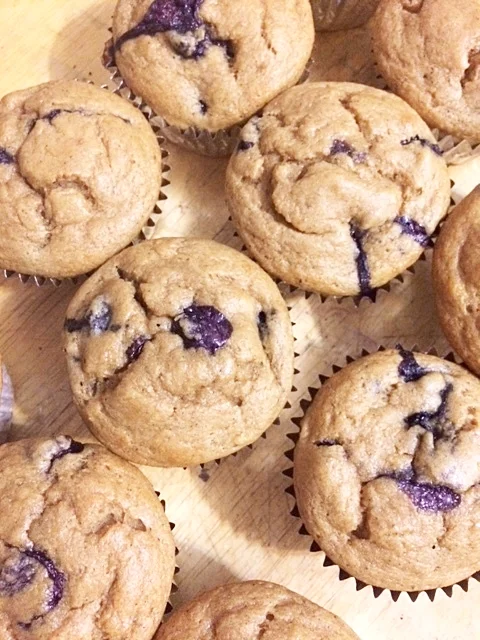 Protein Packed Blueberry Muffins