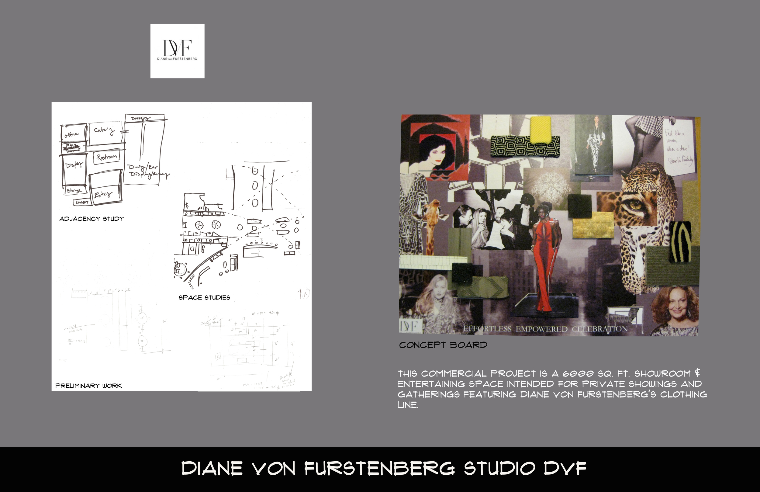 DVF PrelimB copy.JPG