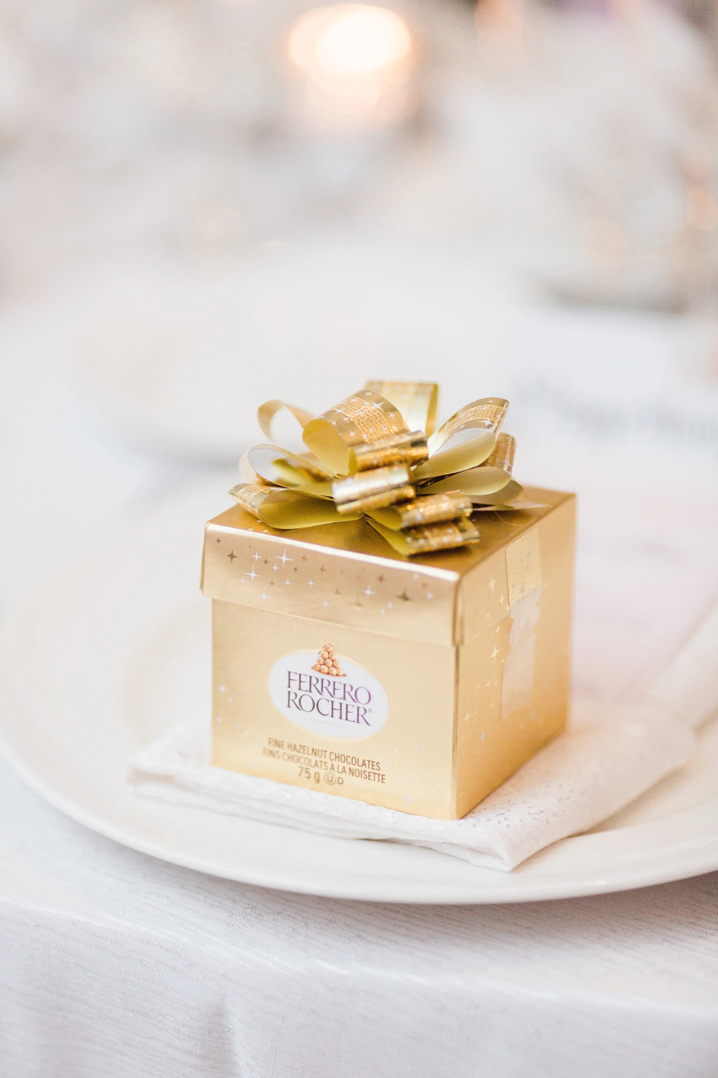 Parkview Manor Wedding - Reception-19.jpg