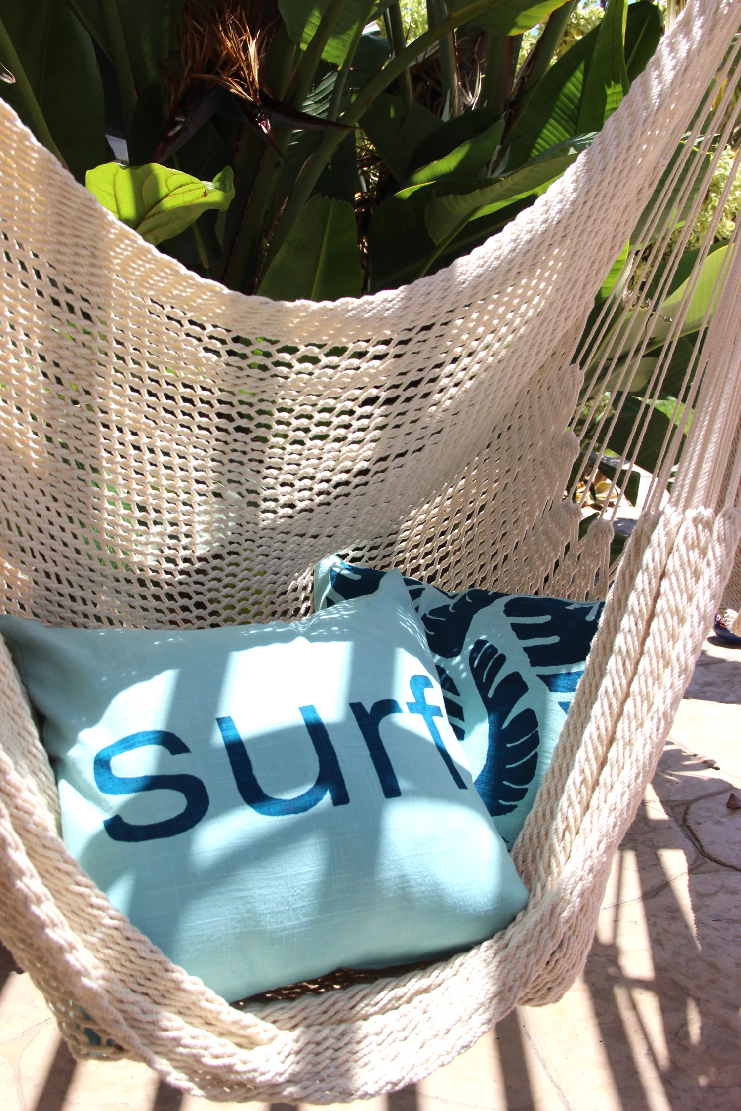 surf 2.jpg