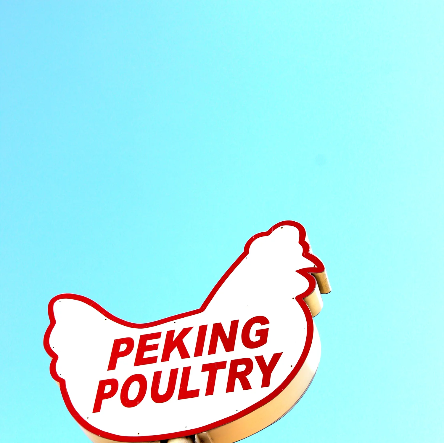 peking small.jpg