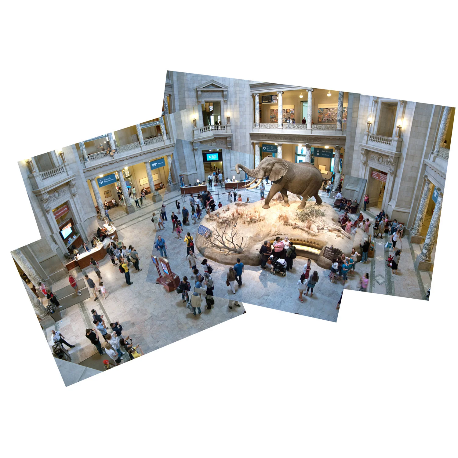 Museum of Natural History, Washington, DC