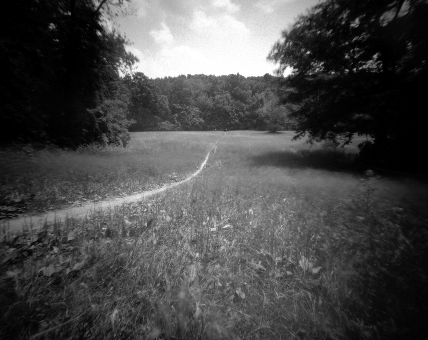  Meadow path 