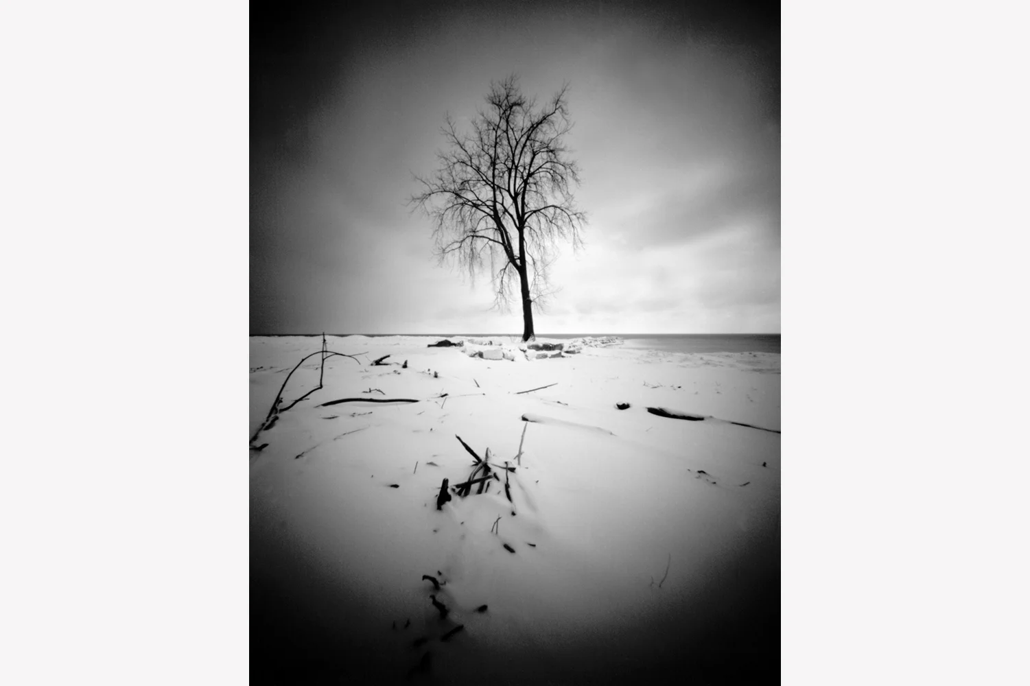 Sentinel Tree