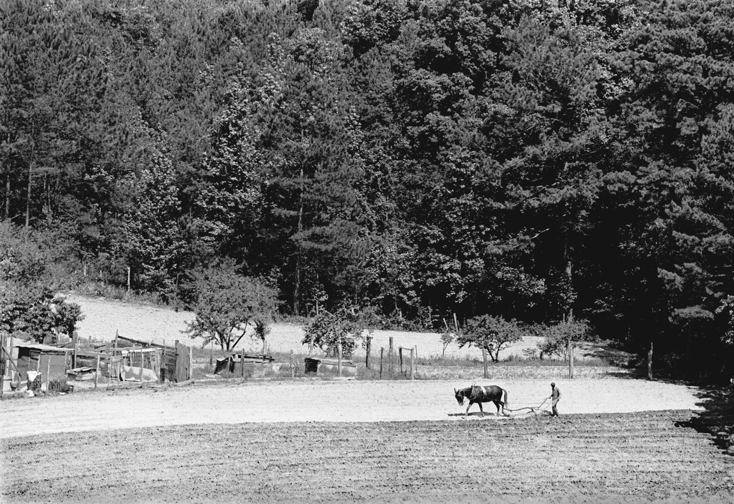 Spring Plowing Mississippi 1977