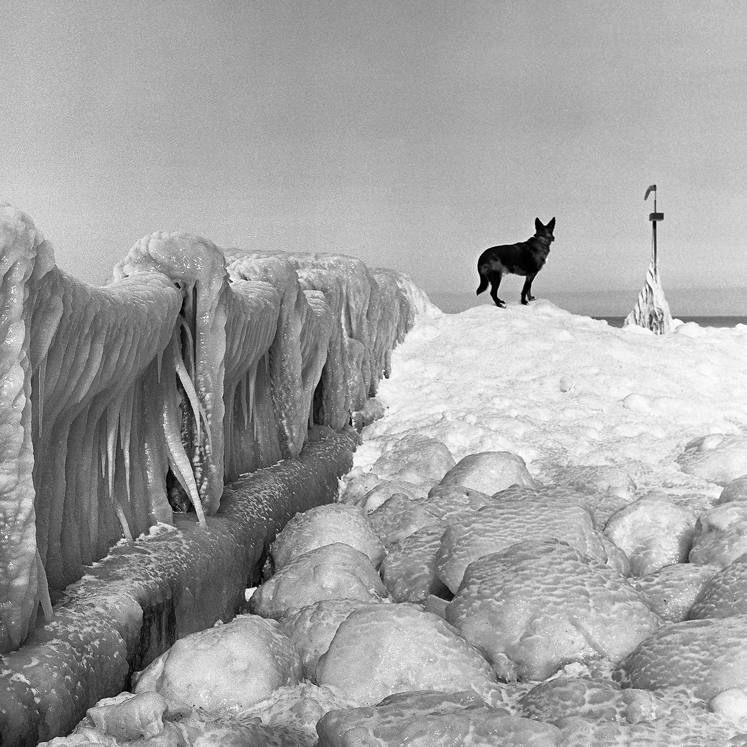 Winter storm aftermath Bay Village, OH 6x6 Film