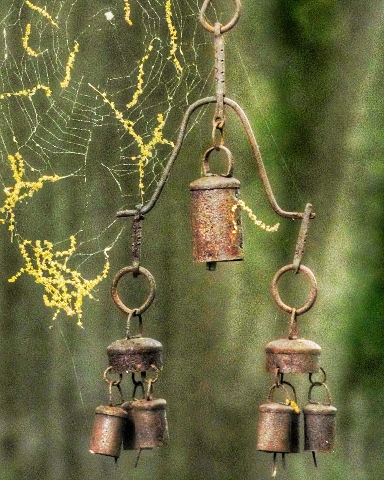Wind chimes, spider web and oak flowers. 2023 camera with 55 year-old lens. Sony a7r V with Nikon 500mm f8 mirror lens.