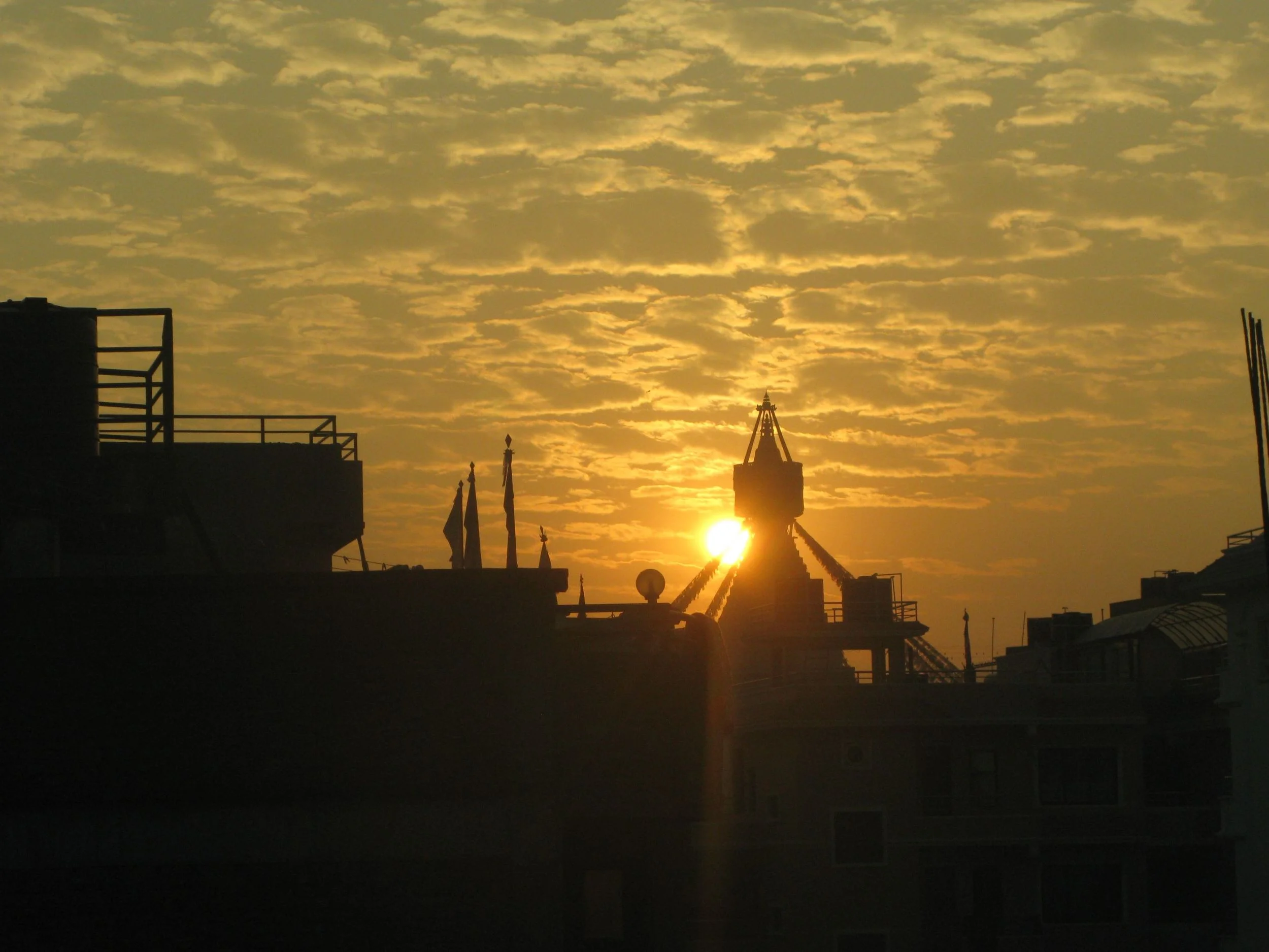 IMG_7890.jpg