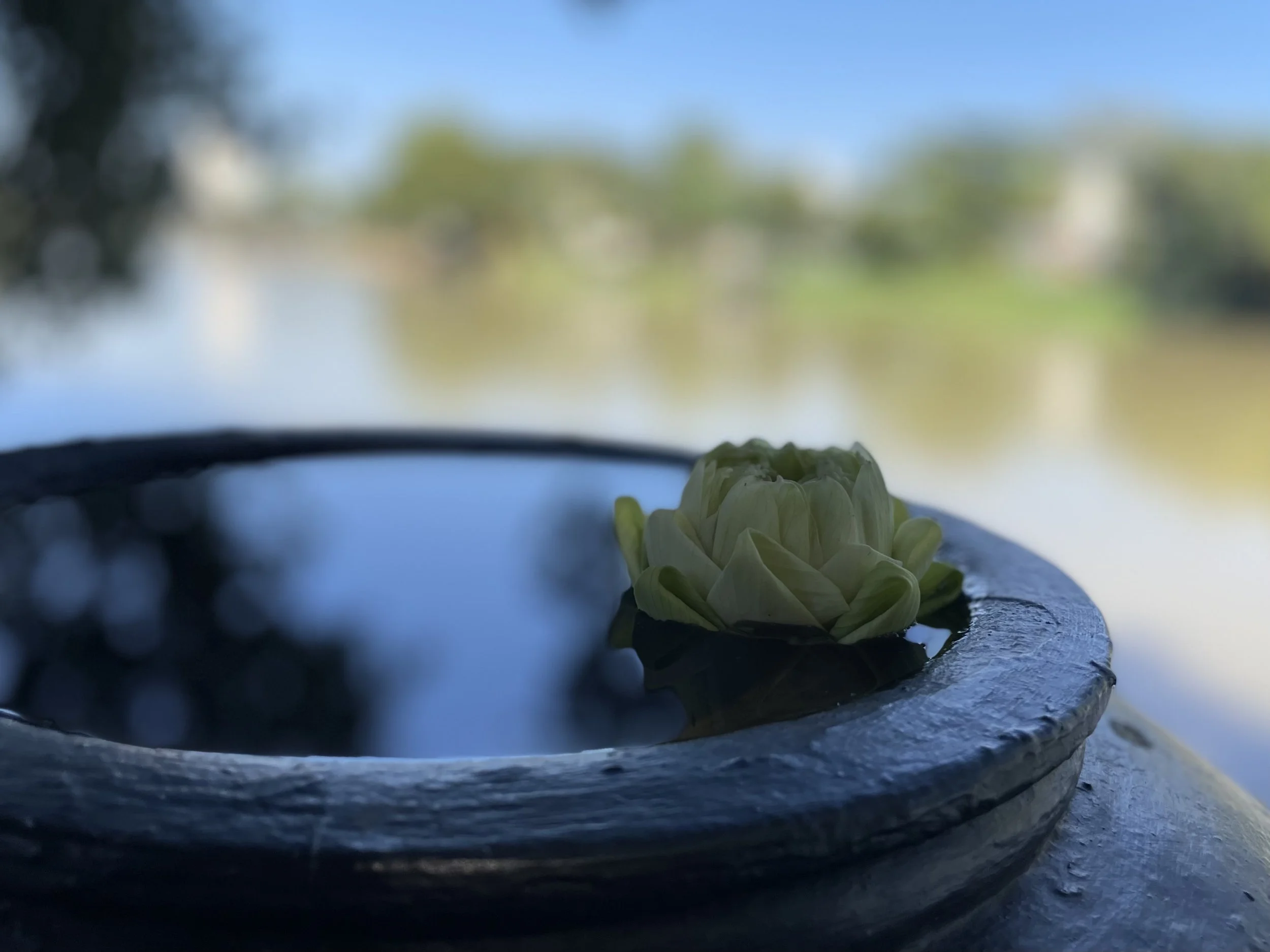 IMG_5844 copy 2.jpeg