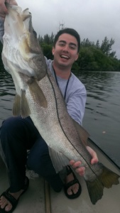 Christmas 2014 in South Florida