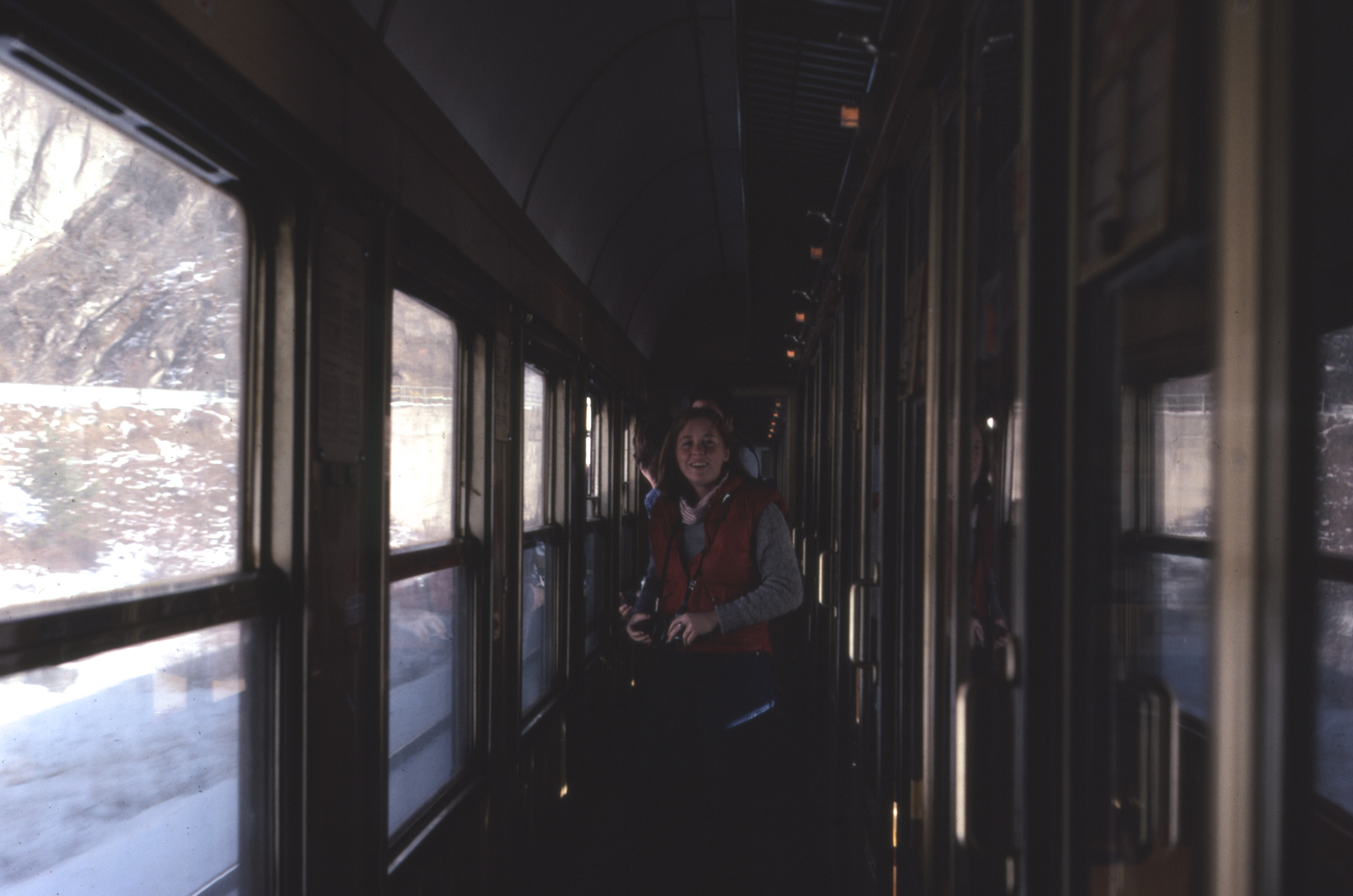  "We took a train through the Alps." 