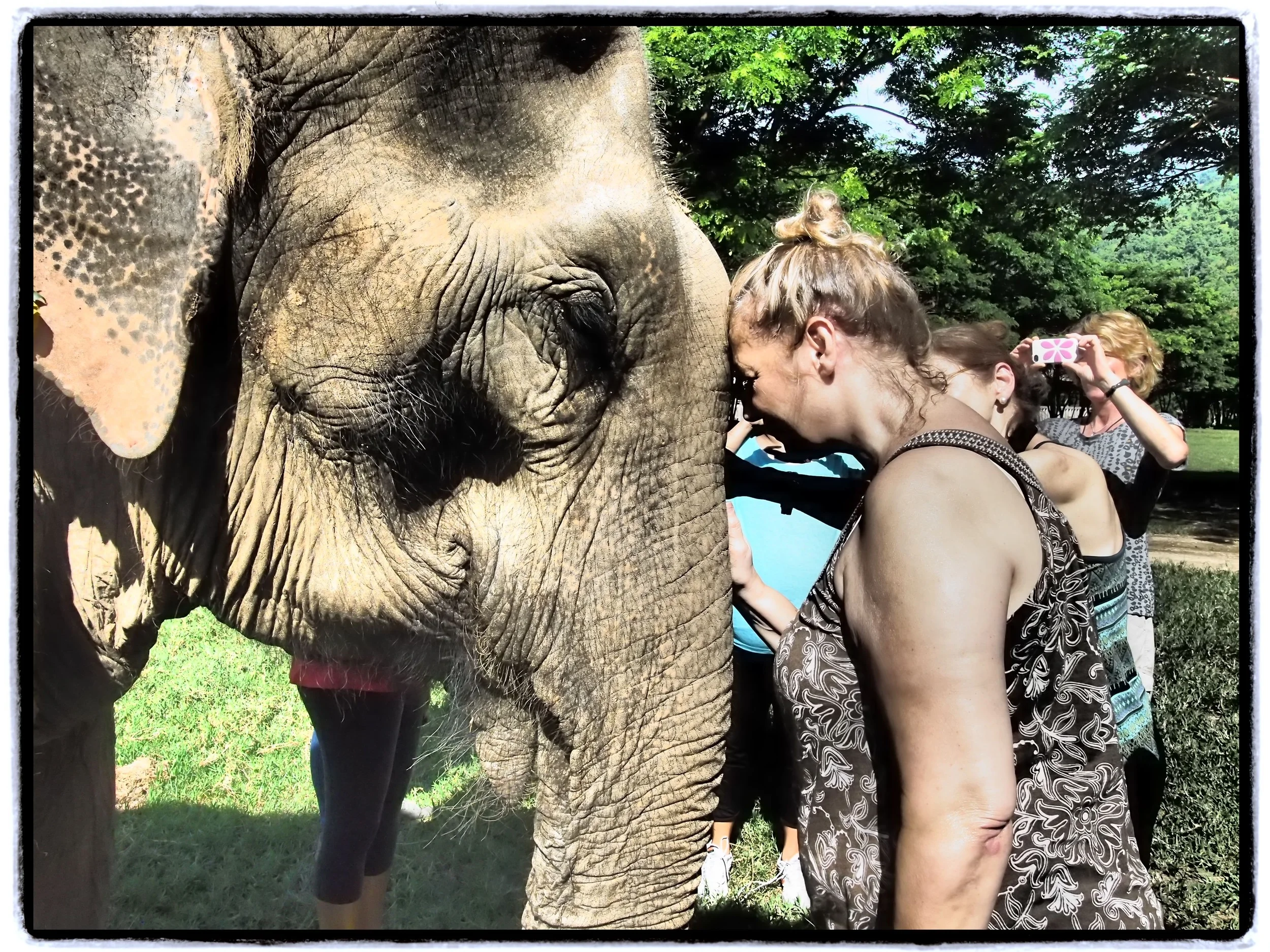 PHOTO ©PRAVASSA - in Thailand with the elephants