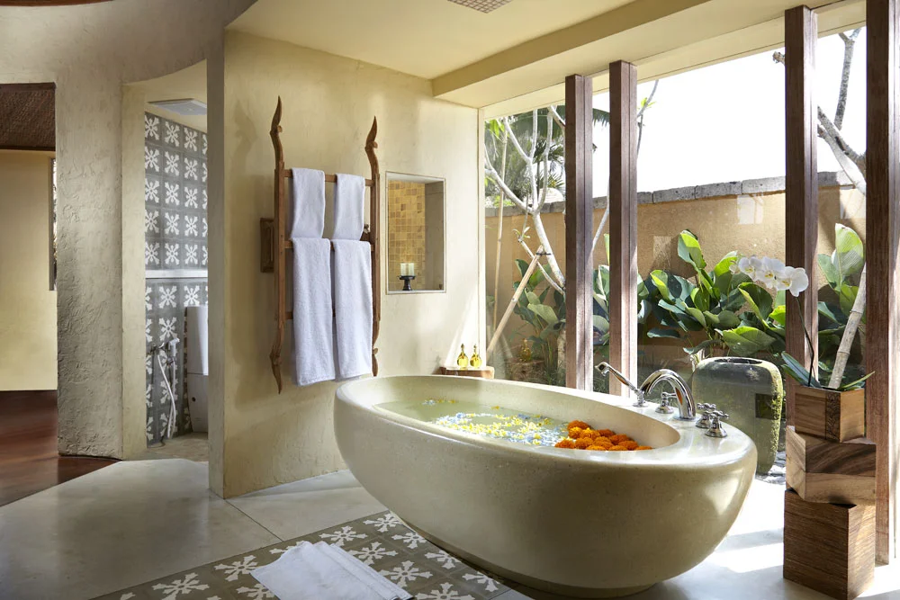 IMAGE VIA