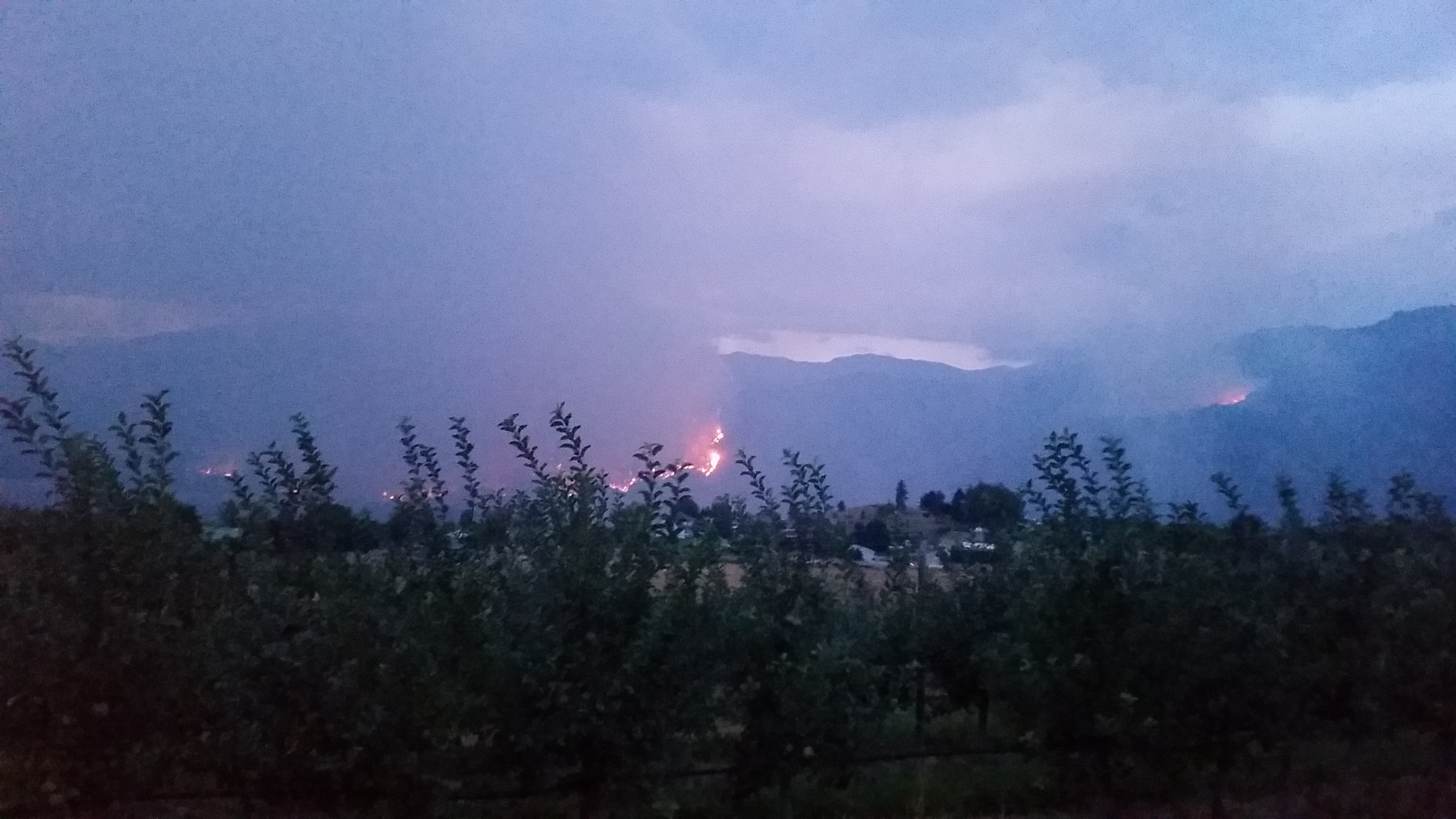 looking towards the south shore of lake chelan from the orchard