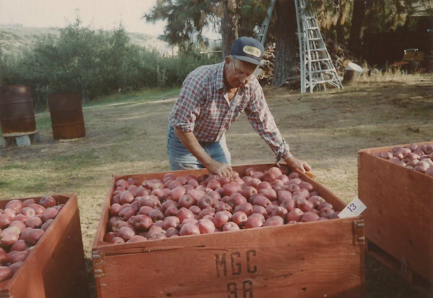 Arnold apple bin.jpg